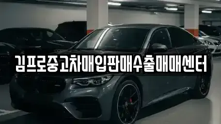 전북 진안군 마령면 단기렌트카,중고차매입,중고차매매,중고차,렌트카,장기렌트카