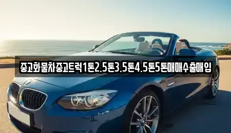 전북 진안군 성수면 장기렌트카,중고차,렌트카,단기렌트카,중고차매입,중고차매매