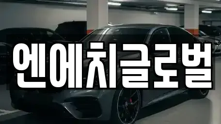 전북특별자치도 완주군 고산면 중고차매매 전문 엔에치글로벌