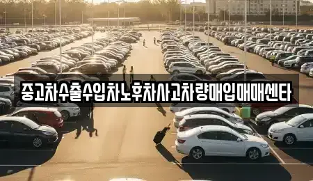 전북특별자치도 익산시 만석동 중고차매입 전문 중고차수출수입차노후차사고차량매입매매센타