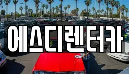 전북특별자치도 익산시 모현동2가 장기렌트카 전문 에스디렌터카