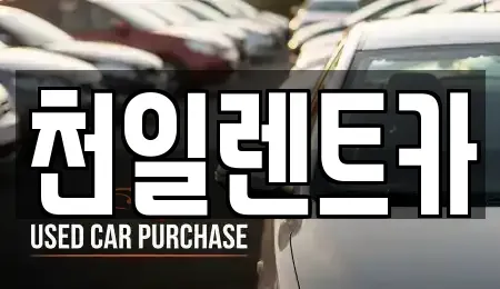 전북특별자치도 익산시 팔봉동 렌트카 전문 천일렌트카