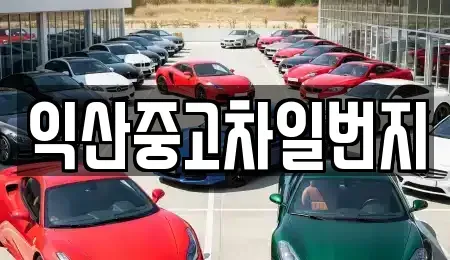 전북특별자치도 익산시 팔봉동 중고차매매 전문 익산중고차일번지