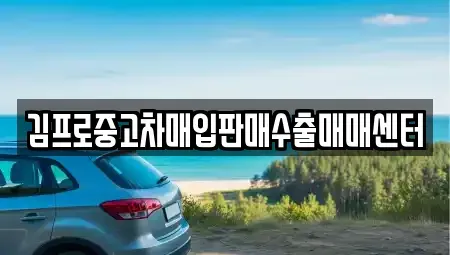 전북특별자치도 장수군 장수읍 중고차 전문 김프로중고차매입판매수출매매센터