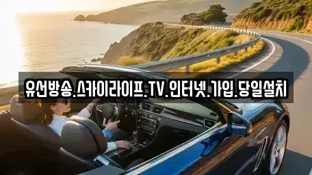 전북특별자치도 장수군 장수읍 중고차매입 전문 유선방송.스카이라이프.TV.인터넷.가입.당일설치