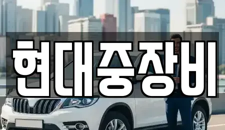 전북특별자치도 전주시 덕진구 성덕동 중고차 전문 현대중장비