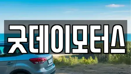 전북특별자치도 전주시 덕진구 원동 중고차매매 전문 굿데이모터스