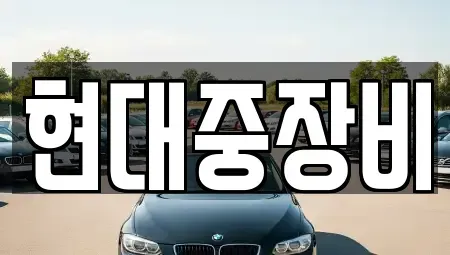 전북특별자치도 전주시 덕진구 원동 중고차매매 전문 현대중장비