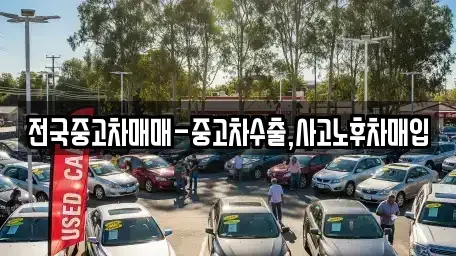 전북특별자치도 전주시 덕진구 원동 단기렌트카,중고차매입,중고차매매,중고차,렌트카,장기렌트카