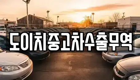 전북특별자치도 전주시 완산구 다가동4가 중고차 전문 도이치중고차수출무역