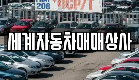 전북특별자치도 전주시 완산구 삼천동3가 중고차 전문 세계자동차매매상사