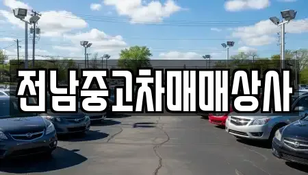 전북특별자치도 전주시 완산구 색장동 중고차 전문 전남중고차매매상사
