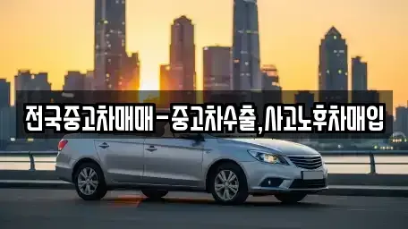 전북특별자치도 전주시 완산구 서완산동1가 중고차 전문 전국중고차매매-중고차수출,사고노후차매입