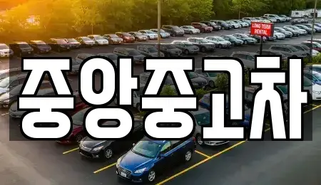 전북특별자치도 전주시 완산구 서완산동1가 중고차 전문 중앙중고차