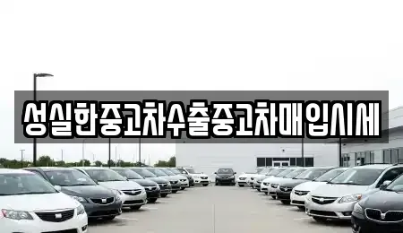 전북특별자치도 전주시 완산구 풍남동3가 중고차매매 전문 성실한중고차수출중고차매입시세