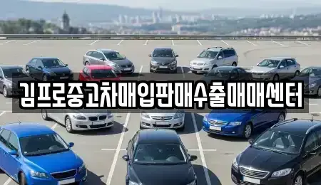 전북특별자치도 전주시 완산구 풍남동3가 중고차매입 전문 김프로중고차매입판매수출매매센터