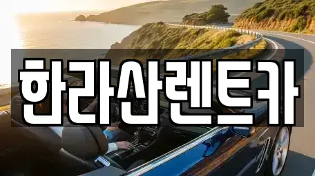 제주 제주시 도두일동 렌트카 전문 한라산렌트카