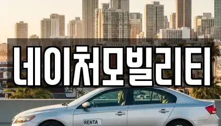 제주 제주시 월평동 렌트카 전문 네이처모빌리티