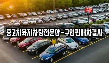 제주 제주시 한림읍 중고차 전문 중고차육지차량전문샵-구입판매차결사
