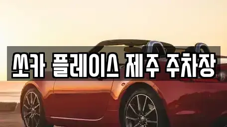 제주특별자치도 제주시 구좌읍 렌트카 전문 쏘카 플레이스 제주 주차장