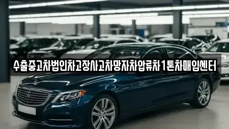 제주특별자치도 제주시 구좌읍 중고차 전문 수출중고차법인차고장사고차망자차압류차1톤차매입센터