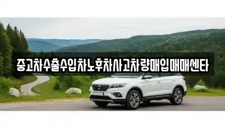 제주특별자치도 제주시 구좌읍 중고차 전문 중고차수출수입차노후차사고차량매입매매센타