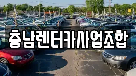 충남 논산시 관촉동 렌트카 전문 충남렌터카사업조합