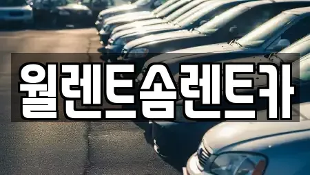 충남 당진시 합덕읍 렌트카 전문 월렌트솜렌트카