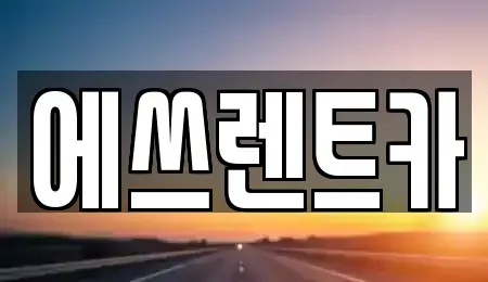 충남 보령시 동대동 렌트카 전문 에쓰렌트카