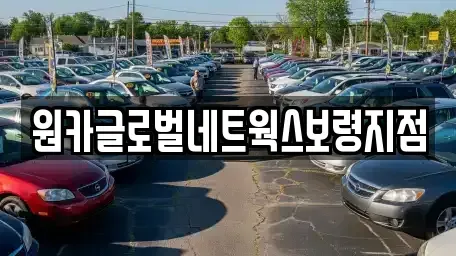 충남 보령시 동대동 렌트카 전문 원카글로벌네트웍스보령지점