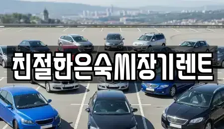 충남 보령시 동대동 장기렌트카 전문 친절한은숙씨장기렌트