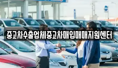 충남 보령시 동대동 중고차 전문 중고차수출업체중고차매입매매지원센터