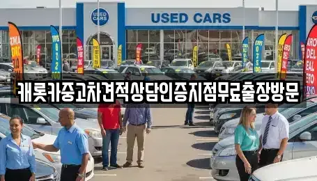 충남 보령시 동대동 중고차 전문 캐롯카중고차견적상담인증지점무료출장방문