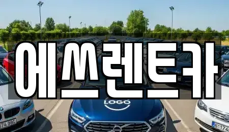 충남 보령시 화산동 렌트카 전문 에쓰렌트카