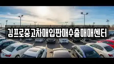 충남 보령시 화산동 중고차매입 전문 김프로중고차매입판매수출매매센터