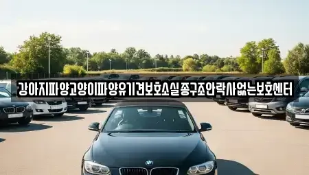 충남 부여군 남면 중고차 전문 강아지파양고양이파양유기견보호소실종구조안락사없는보호센터