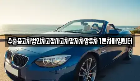충남 서천군 장항읍 중고차 전문 수출중고차법인차고장사고차망자차압류차1톤차매입센터