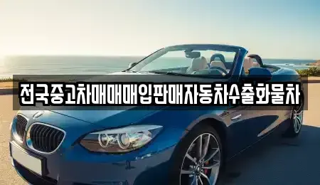 충남 아산시 송악면 중고차 전문 전국중고차매매매입판매자동차수출화물차