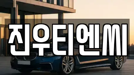 충남 천안시 동남구 성황동 중고차 전문 진우티엔씨