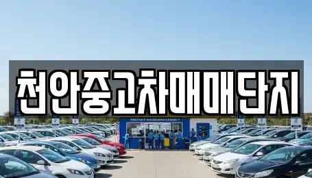 충남 천안시 동남구 성황동 중고차 전문 천안중고차매매단지