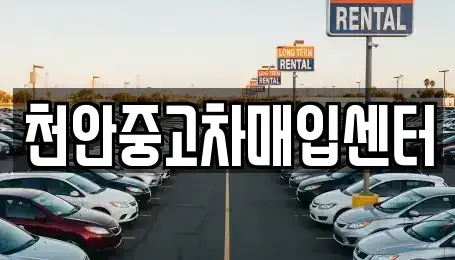 충남 천안시 동남구 성황동 중고차 전문 천안중고차매입센터