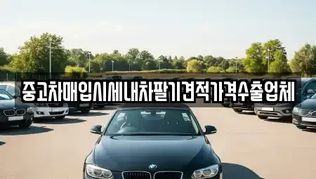 충남 천안시 동남구 성황동 중고차매입 전문 중고차매입시세내차팔기견적가격수출업체