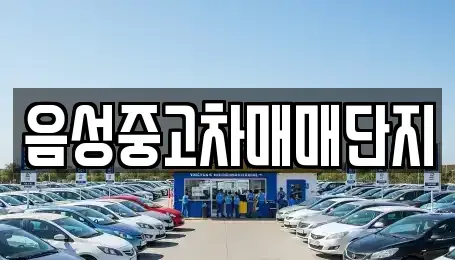 충북 음성군 중고차 전문 음성중고차매매단지