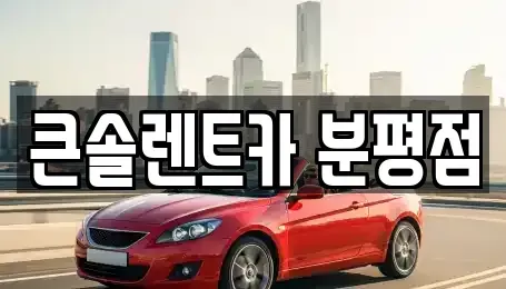 충북 청주시 상당구 평촌동 렌트카 전문 큰솔렌트카 분평점