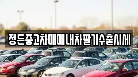 충북 청주시 상당구 평촌동 중고차 전문 정든중고차매매내차팔기수출시세
