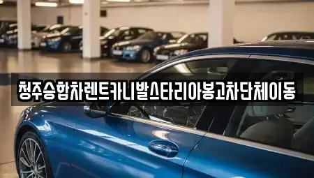 충북 청주시 서원구 개신동 렌트카 전문 청주승합차렌트카니발스타리아봉고차단체이동