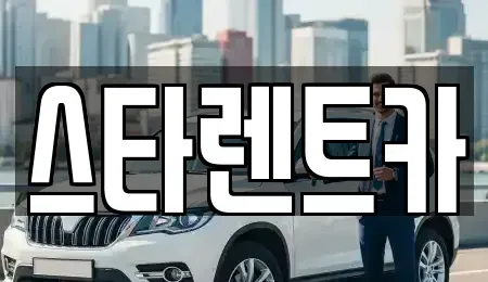 충북 청주시 청원구 내덕동 렌트카 전문 스타렌트카