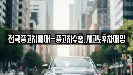 충북 청주시 청원구 우암동 중고차매입 전문 전국중고차매매-중고차수출,사고노후차매입