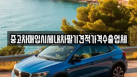 충북 청주시 청원구 우암동 중고차매입 전문 중고차매입시세내차팔기견적가격수출업체