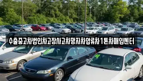 충북 충주시 수안보면 중고차매매 전문 수출중고차법인차고장사고차망자차압류차1톤차매입센터